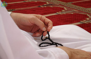 مشاهد مشرفه - مدینه منوره